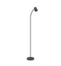 Eglo Vloerlamp Carlo Staal Zwart | Geschikt voor E14